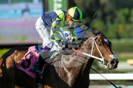 Santa Anita Horse Racing
