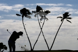 APTOPIX Sony Open Golf