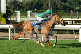 Santa Anita Horse Racing