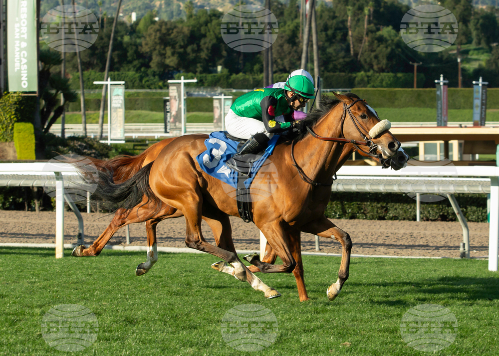 Santa Anita Horse Racing