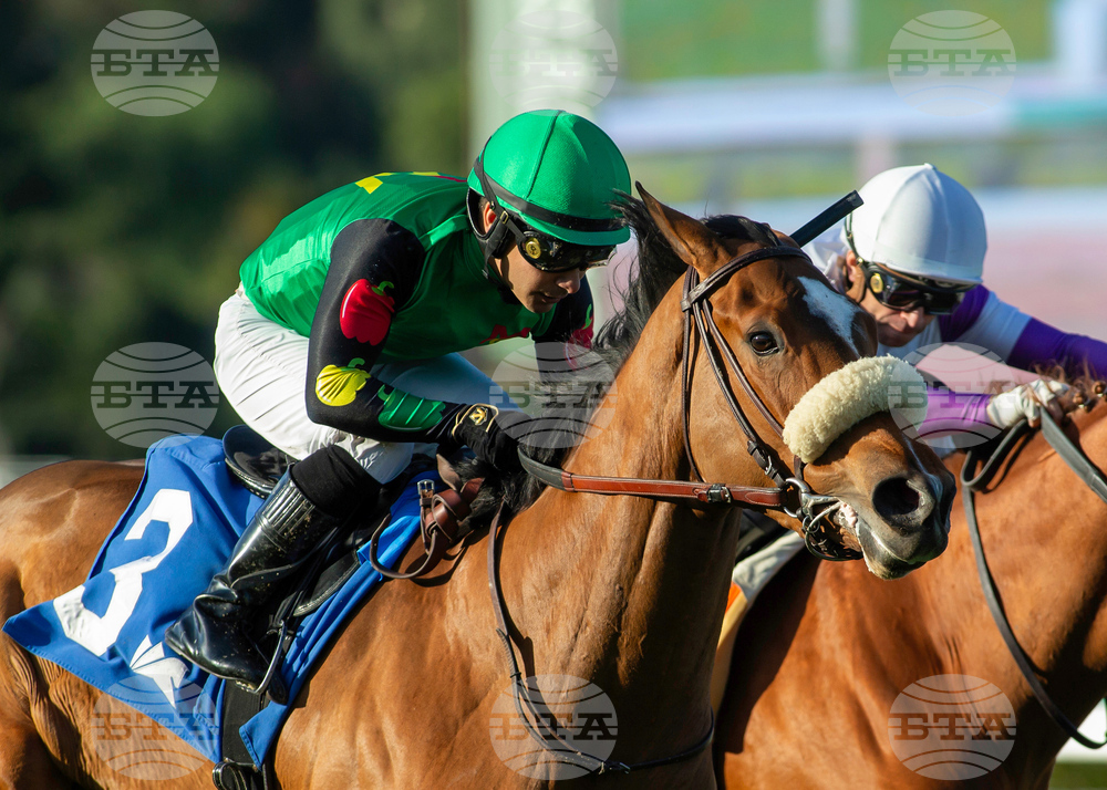 Santa Anita Horse Racing