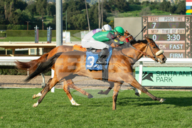 Santa Anita Horse Racing