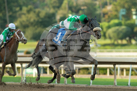 Santa Anita Horse Racing