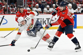Panthers Capitals Hockey