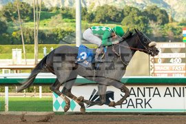Santa Anita Horse Racing