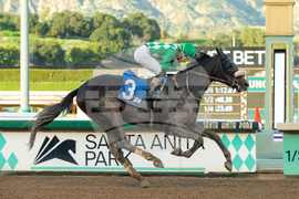 Santa Anita Horse Racing