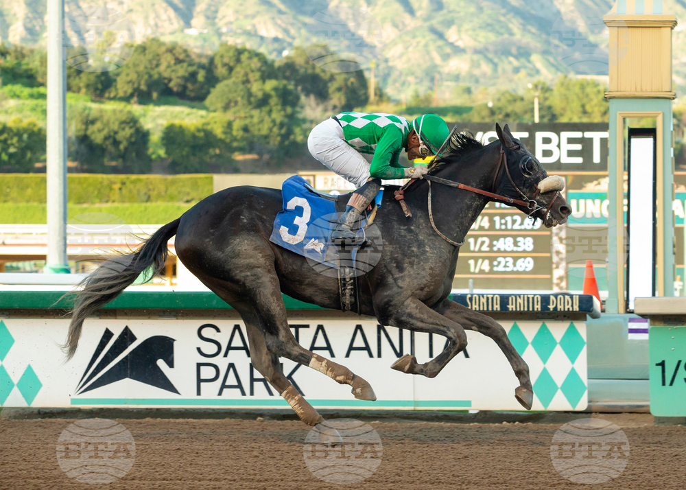 Santa Anita Horse Racing