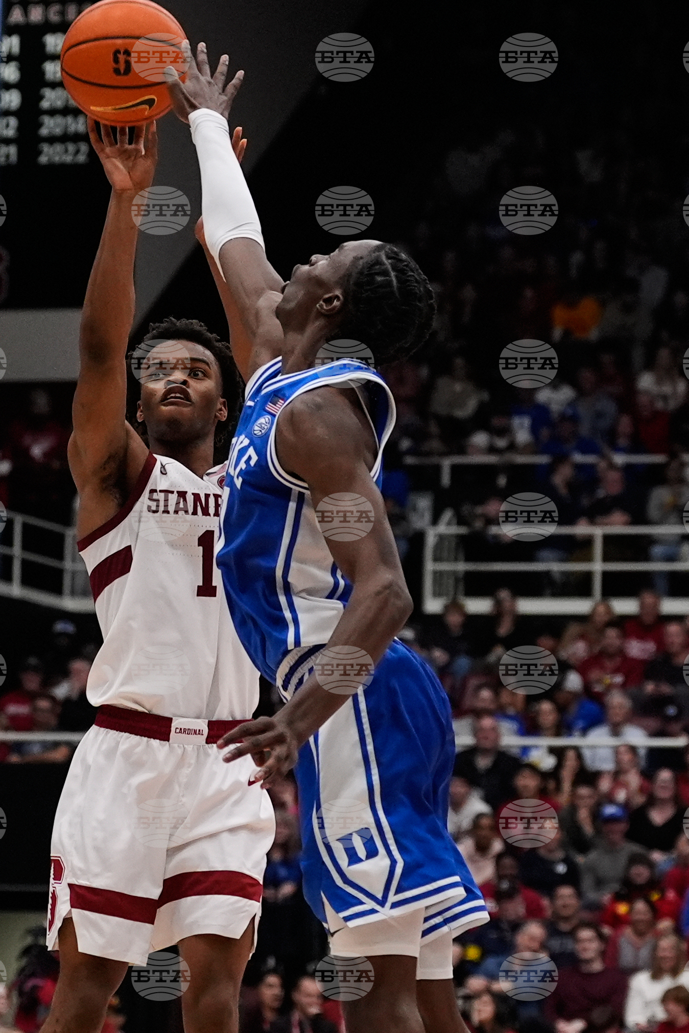 Duke Stanford Basketball