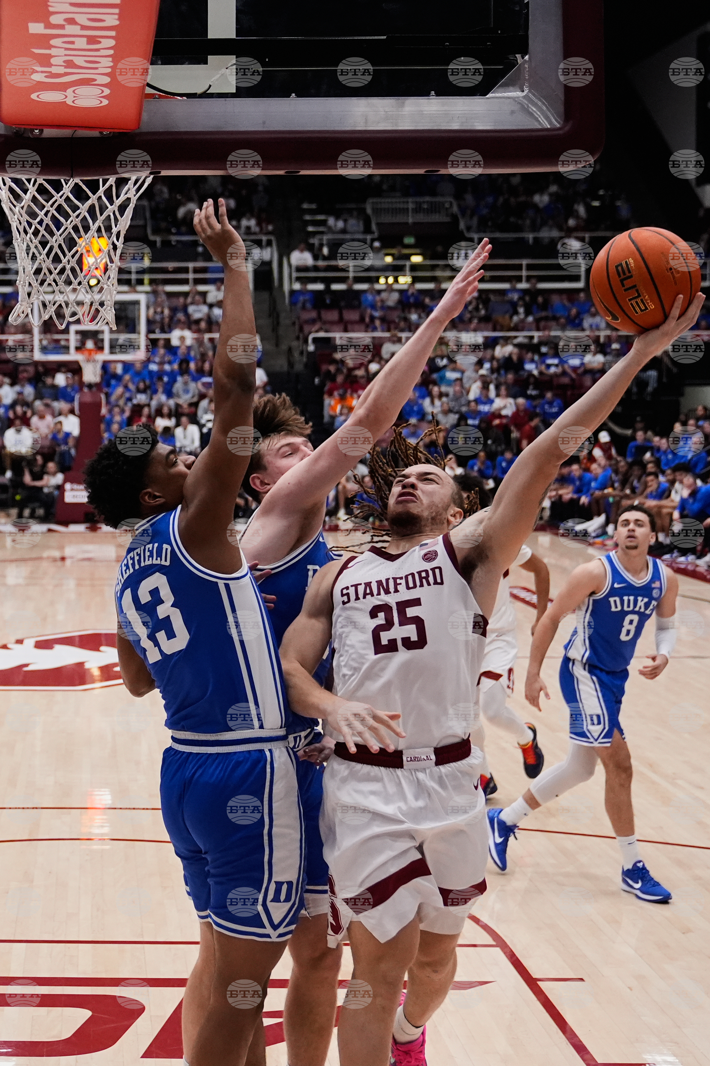 Duke Stanford Basketball