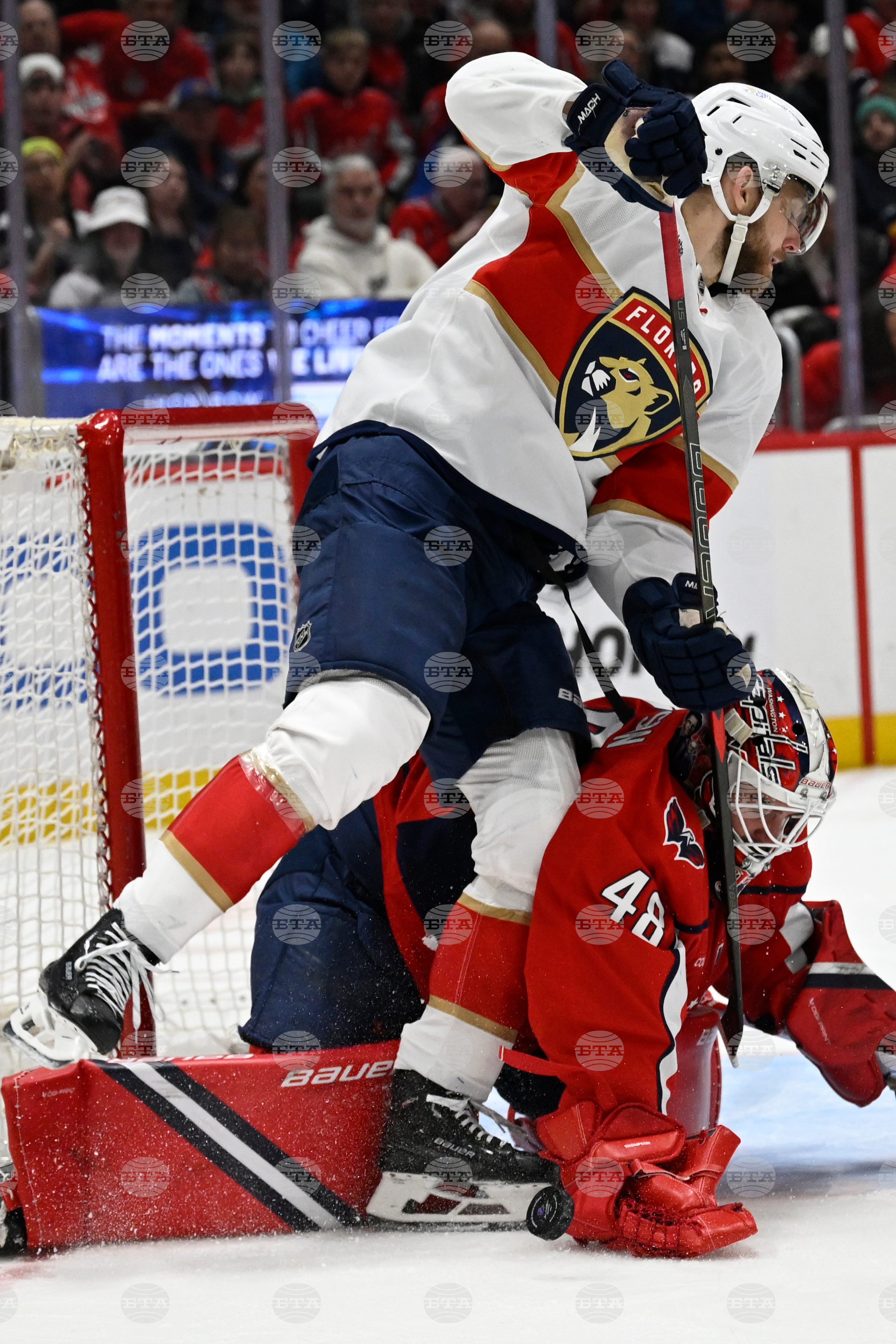 Panthers Capitals Hockey