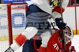 Panthers Capitals Hockey