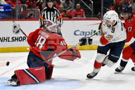 Panthers Capitals Hockey