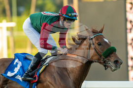 Santa Anita Horse Racing