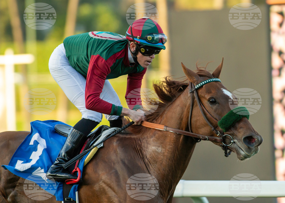 Santa Anita Horse Racing