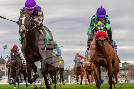 Marie G. Krantz Memorial Stakes 2/2