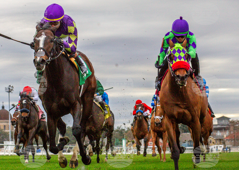 Marie G. Krantz Memorial Stakes 2/2