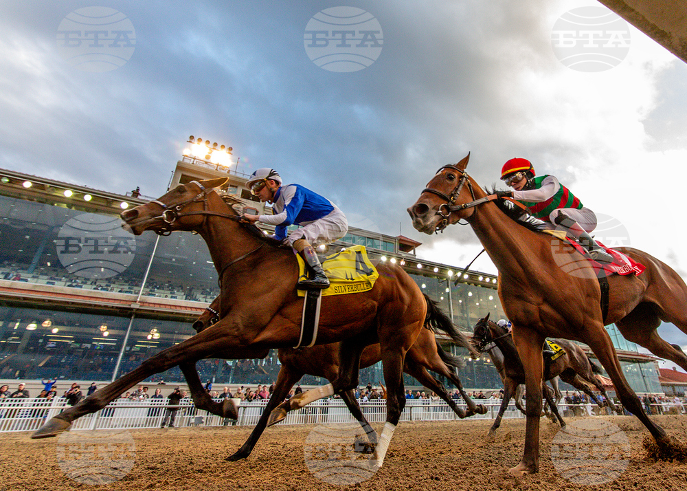 Marie G. Krantz Memorial Stakes 2/2