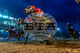 Marie G. Krantz Memorial Stakes 2/2