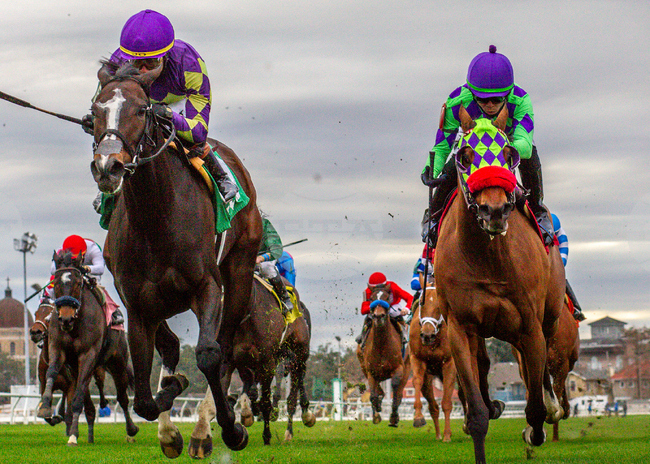 New Orleans Fair Grounds Horse Racing