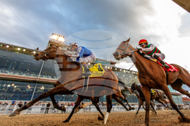New Orleans Fair Grounds Horse Racing