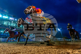 New Orleans Fair Grounds Horse Racing