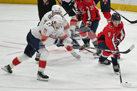 Panthers Capitals Hockey