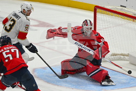 Panthers Capitals Hockey