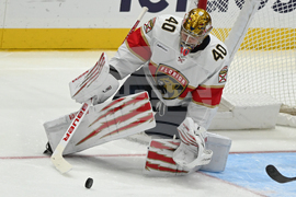 Panthers Capitals Hockey