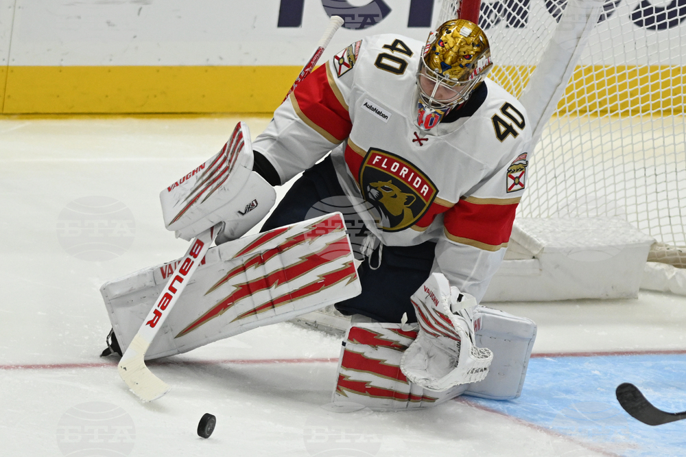 Panthers Capitals Hockey