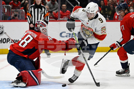 Panthers Capitals Hockey