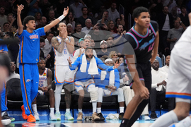 Thunder Heat Basketball