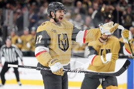 Predators Golden Knights Hockey