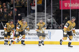 Predators Golden Knights Hockey