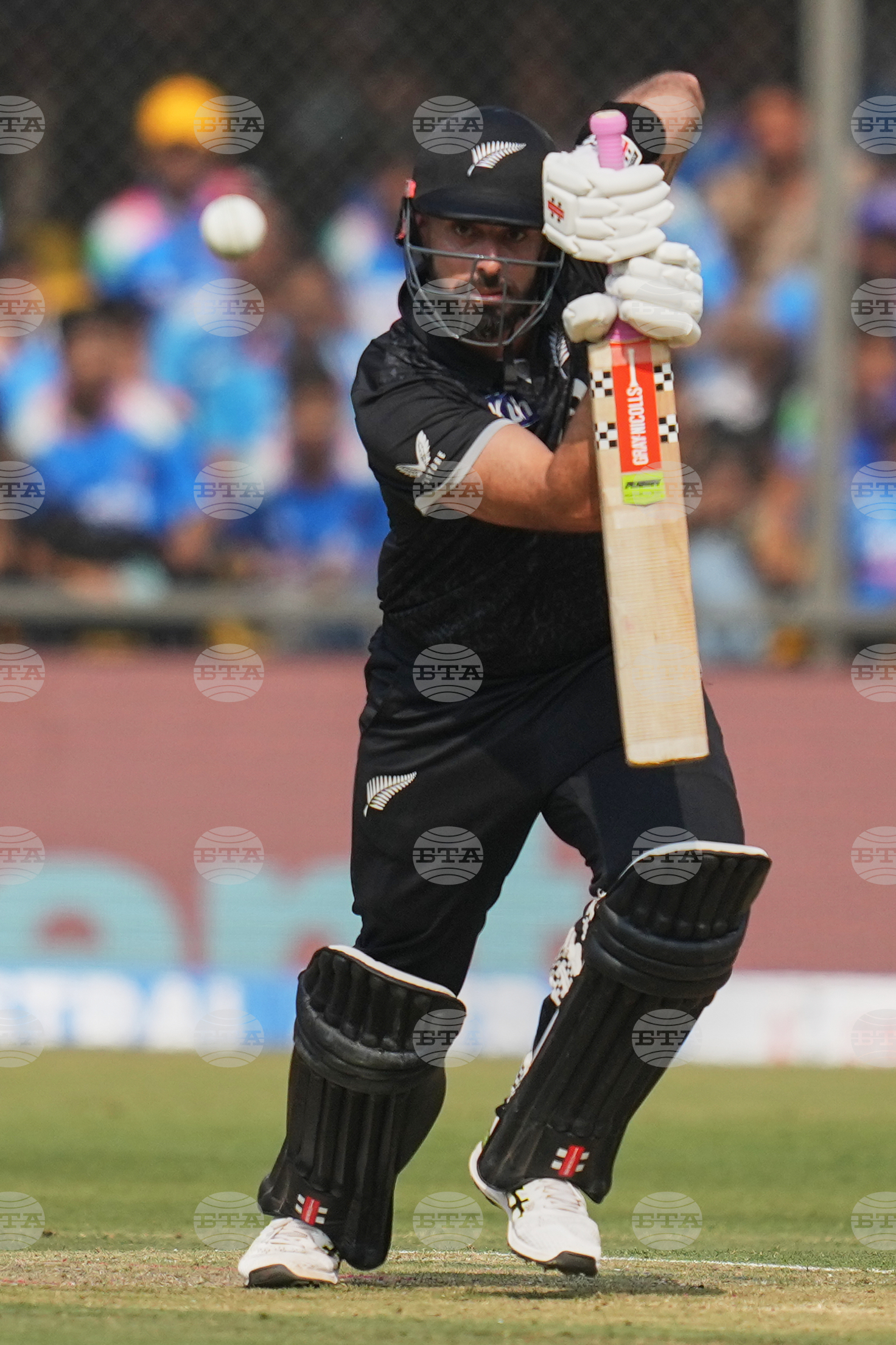 India New Zealand Cricket