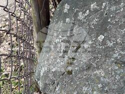 Село Доспей -  Атанасовден - каменен кръст