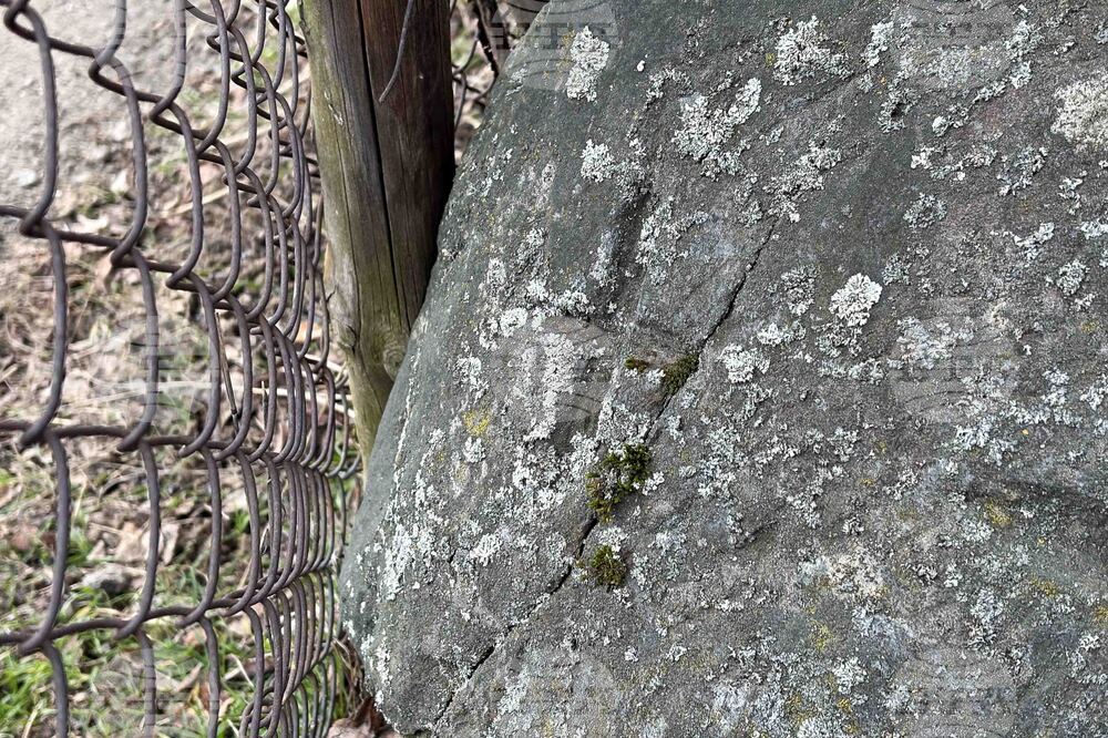 Село Доспей -  Атанасовден - каменен кръст