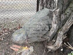 Село Доспей -  Атанасовден - каменен кръст