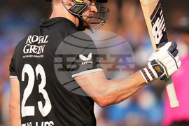 India New Zealand Cricket