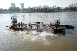 Serbia Holy Cross Day