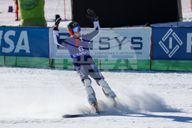 Банско - Световна купа по алпийски сноуборд - финали