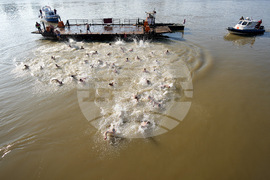 APTOPIX Serbia Holy Cross Day