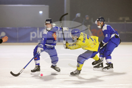 Finland Bandy