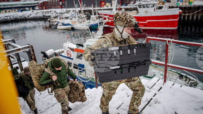 Дания и Гренландия настояват НАТО да да предприеме действия в Арктика преди ключова среща