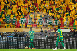 Morocco Africa Cup of Nations Soccer