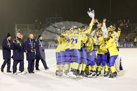 Finland World Championships Bandy