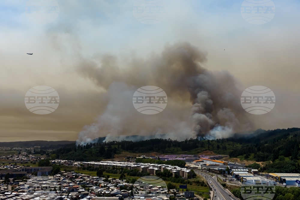 Chile Wildfires