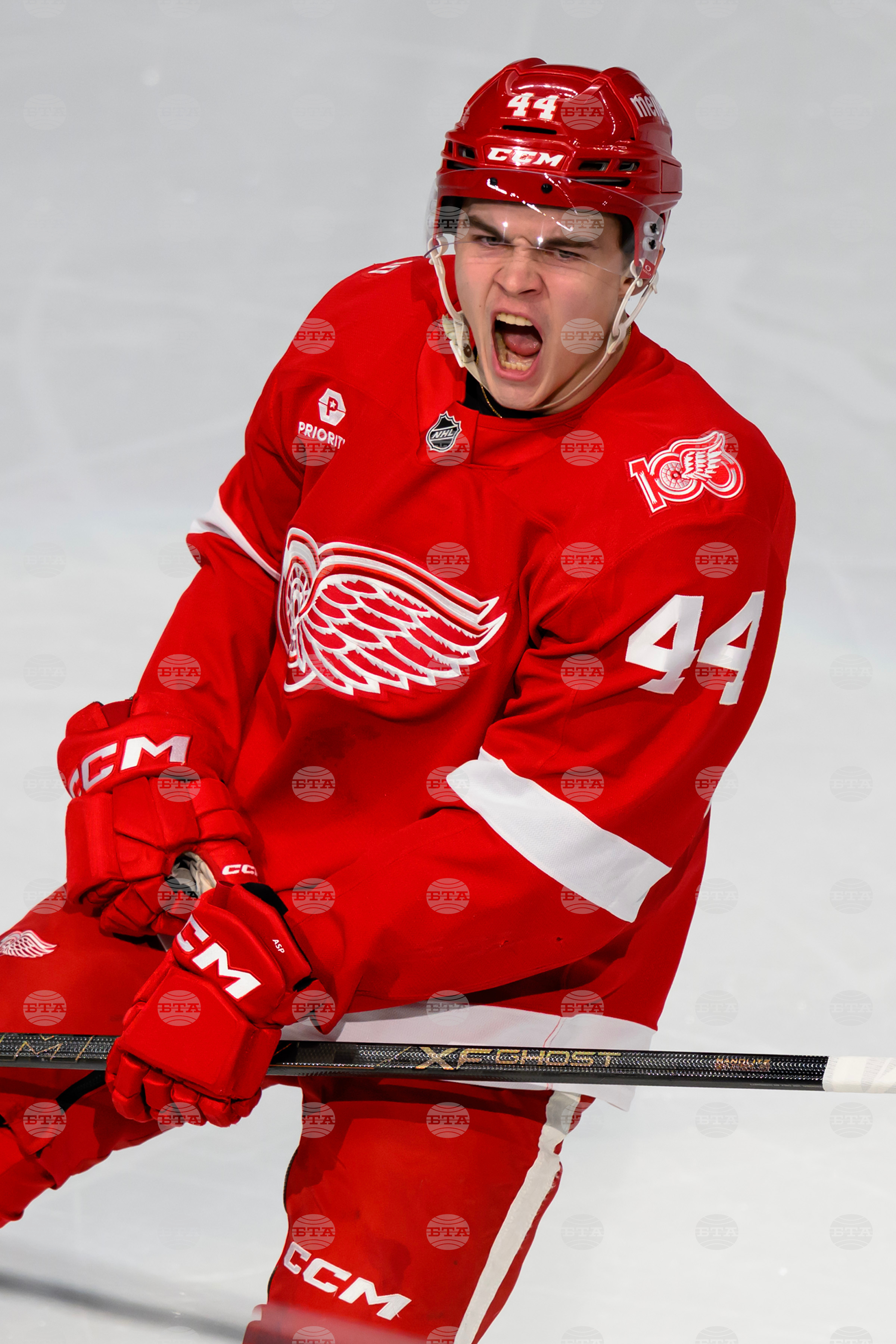 Senators Red Wings Hockey