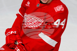 Senators Red Wings Hockey