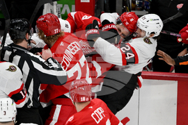 Senators Red Wings Hockey