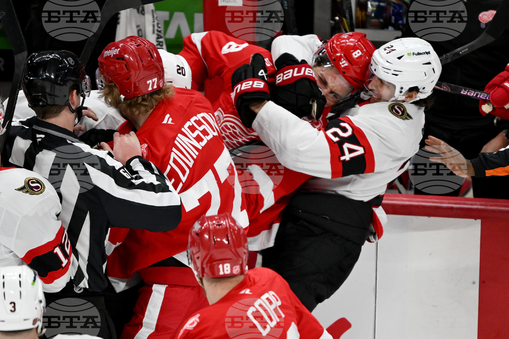 Senators Red Wings Hockey